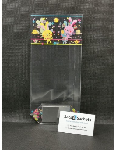 Sachet fond carton motif Pâques Funambule - 120...